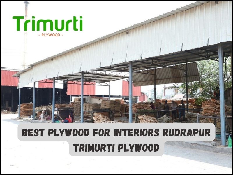 Best Plywood For Interiors Rudrapur - Trimurti Plywood